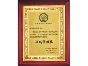 狮子会卓越贡献奖